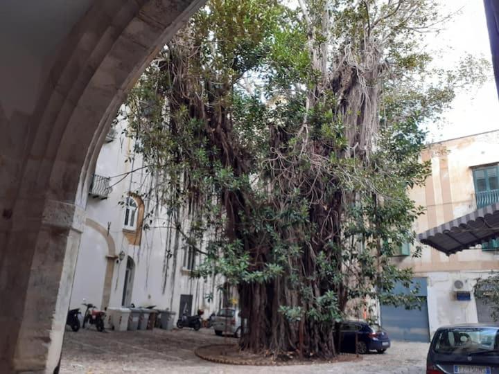 Mela Verde * Palermo